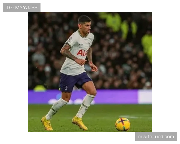 罗梅罗10黄2红纪律问题突出 热刺防线核心屡成不稳定因素